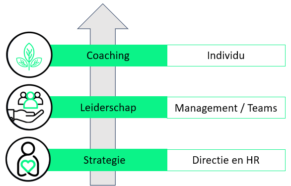 Veerkrachtige-Organisatie-in-alle-lagen-Healthy-Crew